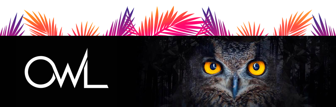 owl-party-header-banner.png