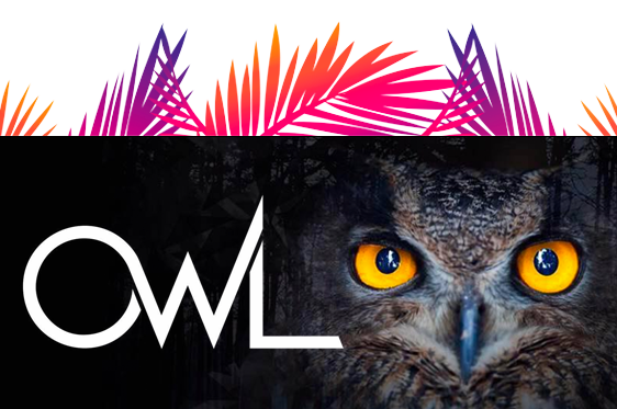 owl-party-header_movil-banner.png